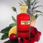 Insignia Rosso